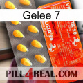 Jelly 7 new01